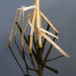 Abstract riet