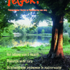 TeGek #8